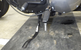 HARLEY XL883N 2017