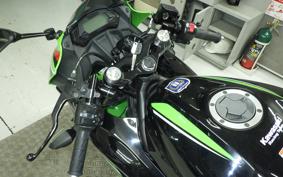 KAWASAKI NINJA 250 SL