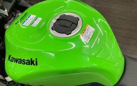 KAWASAKI NINJA ZX-6R 2020 ZX636G