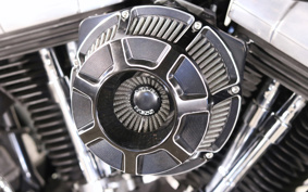 HARLEY FLS 2013 JR5