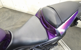 YAMAHA YZF-R25 RG74J