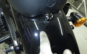 HARLEY XL1200XS 2019