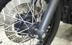 KAWASAKI W800 CAFE 2019 EJ800B