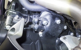 KAWASAKI Z900 Gen.2 2021 ZR900B