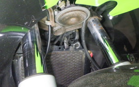 KAWASAKI ZZ-R250 EX250H
