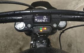 HARLEY FXBB1750 2019 YJJ
