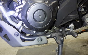 SUZUKI Vｽﾄﾛｰﾑ250 2018