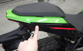 KAWASAKI NINJA 250 2020 EX250P