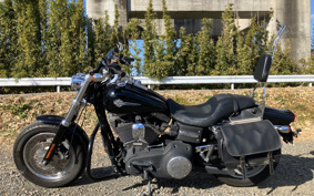 HARLEY HARLEY FXDF1580 2010 GY4