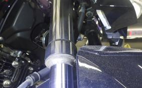 KAWASAKI Z125 PRO 2007 BR125H