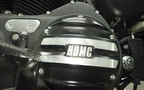 HARLEY XL883N 2016