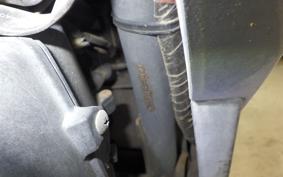 HONDA DIO CESTA GEN 2 2026 AF62