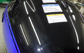 KAWASAKI Z900RS 2025 ZR900K