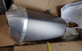 SUZUKI STROM 250 DS11A