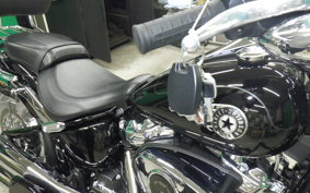 HARLEY FLFB1920 2025