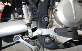 KAWASAKI KLX250D TRACKER X 2021 LX250V