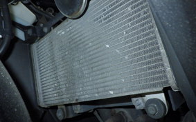 KAWASAKI NINJA 250 ABS 2022 EX250L