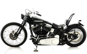 HARLEY HARLEY FXST1340-1450 2004 BHY