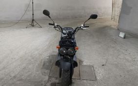 HONDA ZUMAR AF58