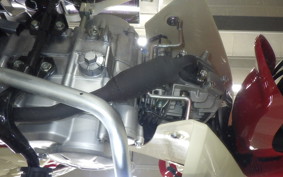 HONDA C50 SUPER CUB 2022 AA09