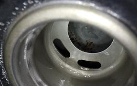 MOTO GUZZI V7 3 SPECIAL 2021