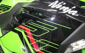 KAWASAKI NINJA 250 2 2022 EX250Y