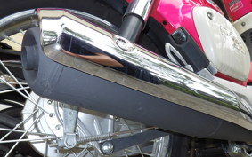 HONDA C110 SUPER CUB