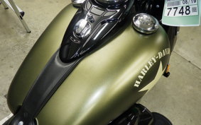 HARLEY FLSS 1800 2017