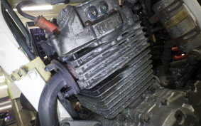 HONDA XLR250 BAJA 2022 MD22