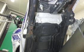 YAMAHA WR250X DG15J