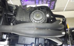 HONDA HORNET 250 2025 MC31