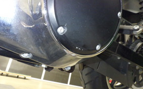 HARLEY FXDL 1580 2014