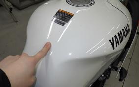 YAMAHA XSR900 GP 2025 RN96J