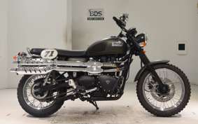 TRIUMPH SCRAMBLER 900 2009