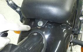 OTHER +DAYTONA125 2024