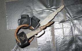 HONDA FORZA 1999 MF06