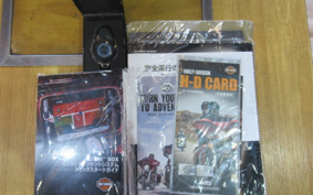 HARLEY  HARLEY FLHXSE CVO 2018 PXL