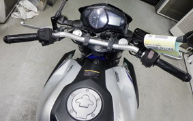 YAMAHA MT-25 2006 RG10J