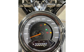 HARLEY  HARLEY FLFBS 2025 YGK