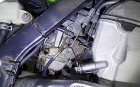 KAWASAKI KLX250 2025 LX250E