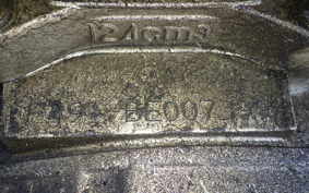 SUZUKI GN125 F Gen.2