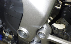 KAWASAKI ZX-4RR 2024 ZX400P