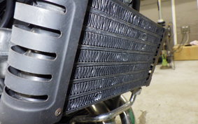 KAWASAKI ZEPHYR 750 RS 2025 ZR750D