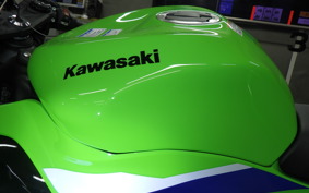 KAWASAKI NINJA ZX-6R A 2025 ZX636J