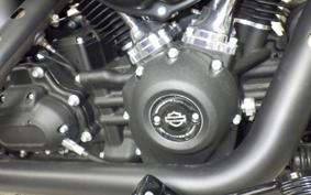 HARLEY FXBB1750 2019