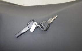 TRIUMPH TRIDENT 660 2025