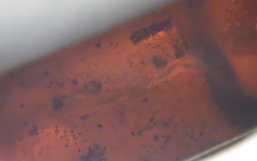 KAWASAKI ZZ1100 NINJA R Gen.2 1997 ZXT10D