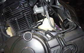 SUZUKI GIXXER 150 2019 ED131