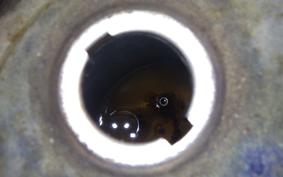 HONDA C50 SUPER CUB C50