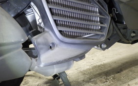 YAMAHA CYGNUSｸﾞﾘﾌｧｽ 2025 SEJ4J